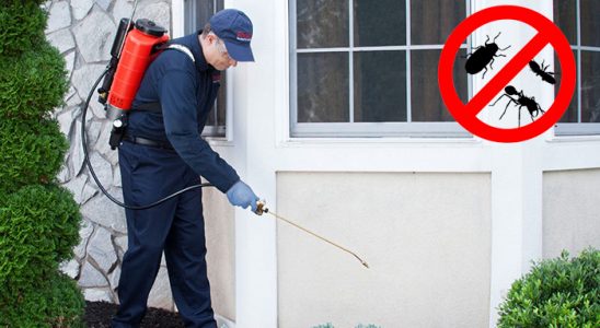 Bayrampaşa Dezenfeksiyon böcek ilaçlama ve haşere kontrolü — ilaclama-tr.com